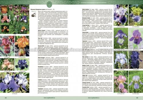 Каталог многолетников 0004