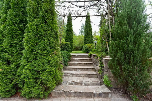 Сад Iconic Garden 04